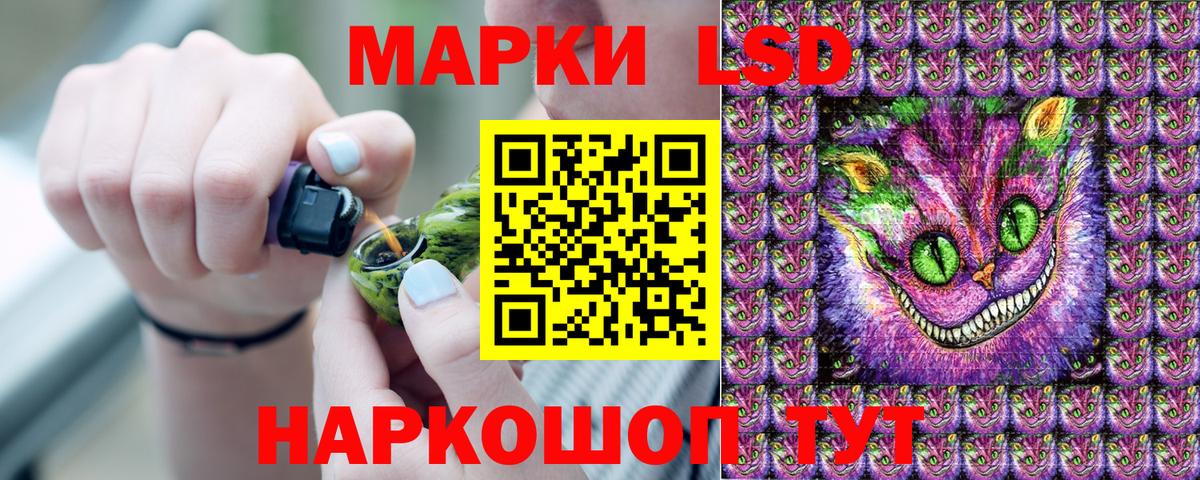 Марки N-bome 1500мкг Сланцы