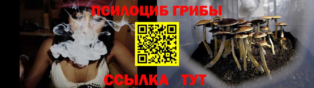Псилоцибиновые грибы Psilocybe Сланцы